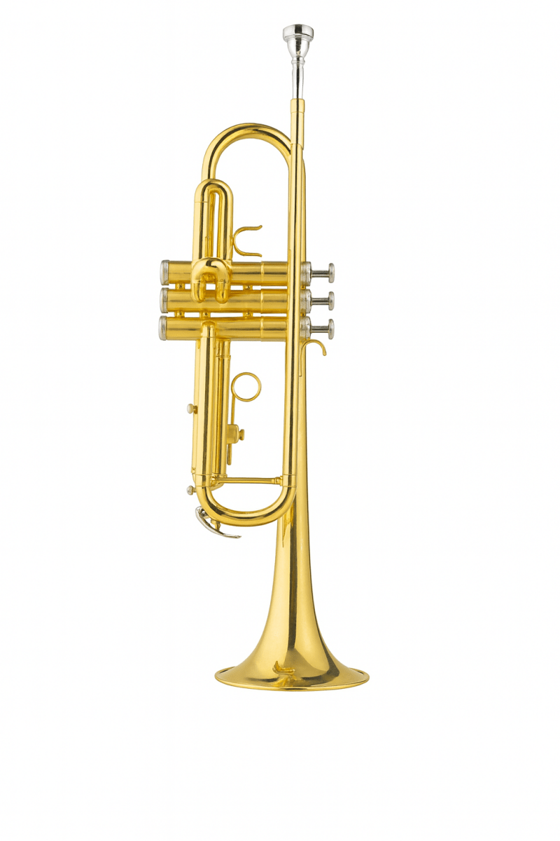 YWPTR - 11 Entry Hand Trumpet – Lacquer Finish | IMS Distribution South Africa - My Store IMS Distribution