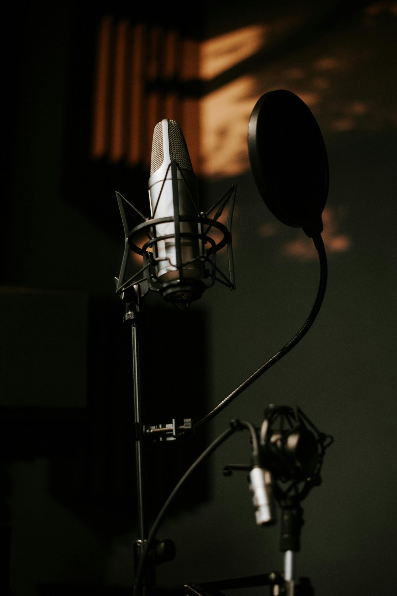 Studio Equipments – Professional Audio & Recording Gear Wholesale - IMS Distribution
