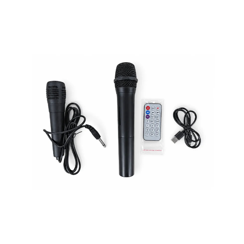 STB 12'' Portable Speaker with TWS [STB-2612B]