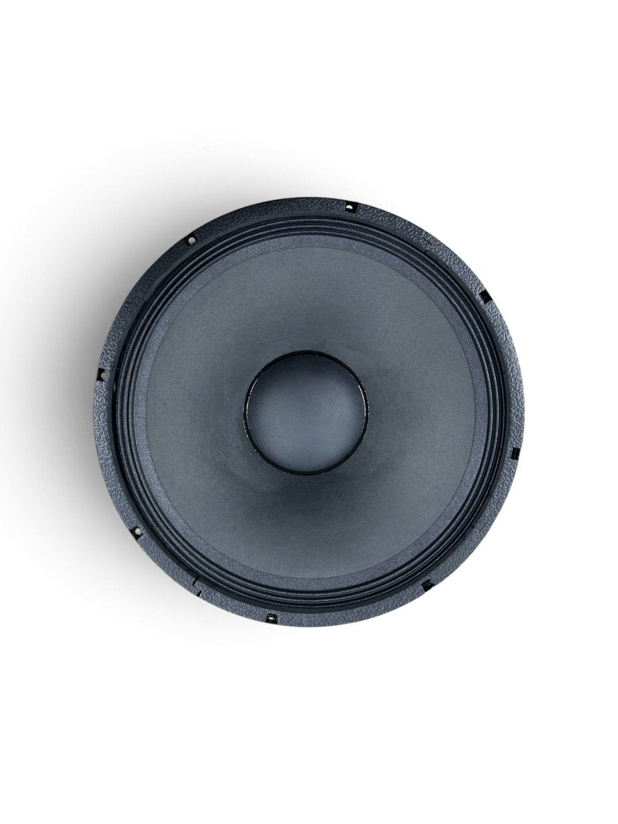Astro Audio 18'' loose speaker(AA-18A500) - IMS Distribution