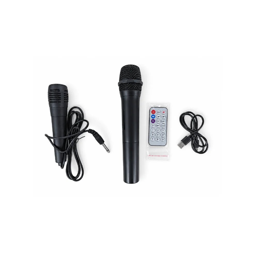 STB 12'' Portable Speaker with TWS [STB-2612B] - IMS Distribution