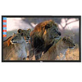 STB HD Panel [HL1832] - My Store