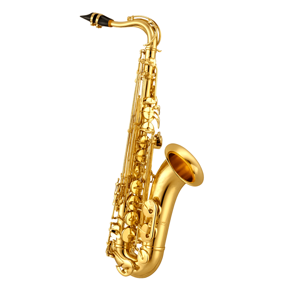 YWAS - 01 Lacquer Finish Alto Saxophone - My Store IMS Distribution