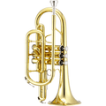 YWCR - 100 Cornet (Gold Lacquered) – IMS Distribution South Africa - My Store IMS Distribution