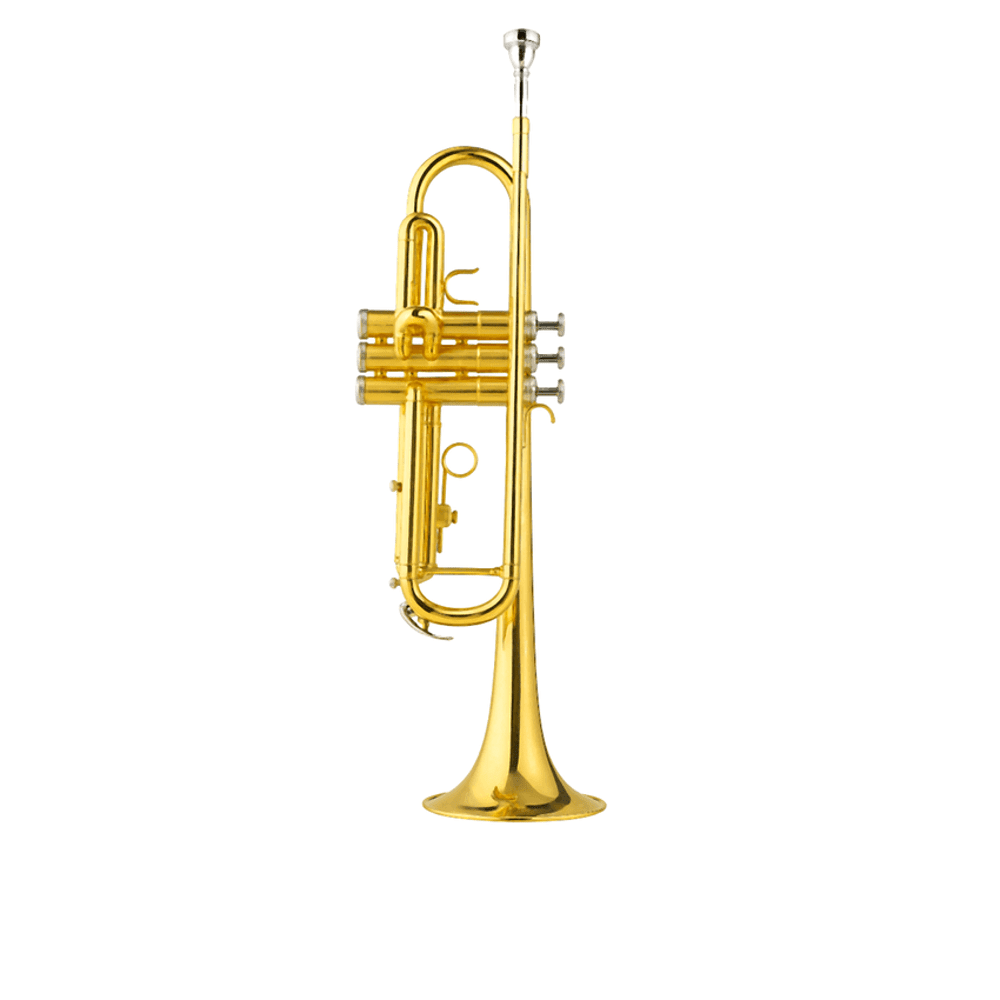 YWPTR - 11 Entry Hand Trumpet – Lacquer Finish | IMS Distribution South Africa - My Store IMS Distribution